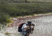 MARATÓN FLORA | Desde hoy y tanto como el domingo 18 de mayo, Biomaratón de Flora con acciones públicas en toda España
