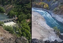 RÍO RECUPERADO | Así ha recuperado la vida un excelente río de EEUU al erradicar cuatro grandes presas